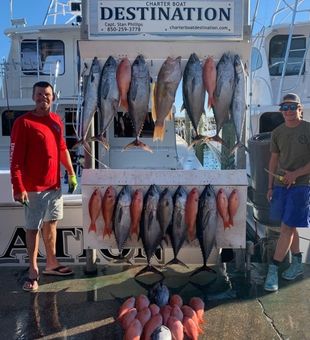 Hooked on Destin: Red Snapper Delights!